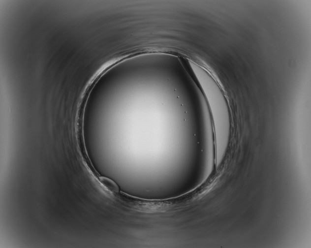 X0000085790803200703301450
