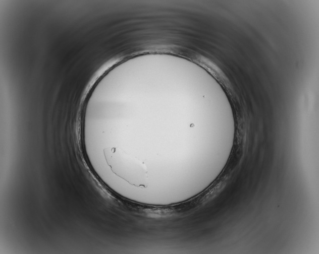 X0000085790804200703301450