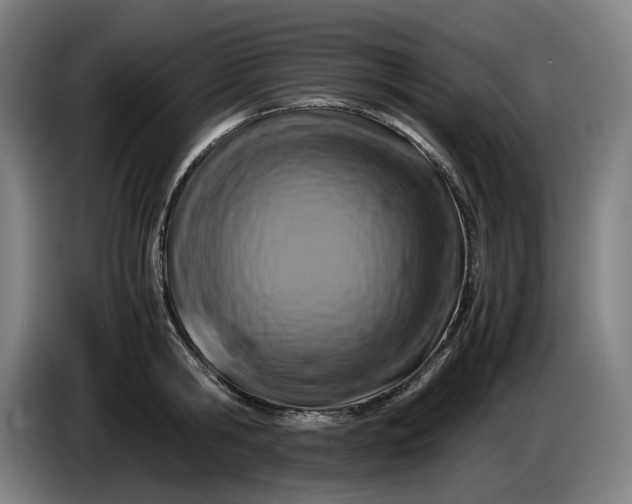 X0000085790806200703301450