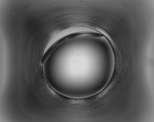X0000085790809200703301450