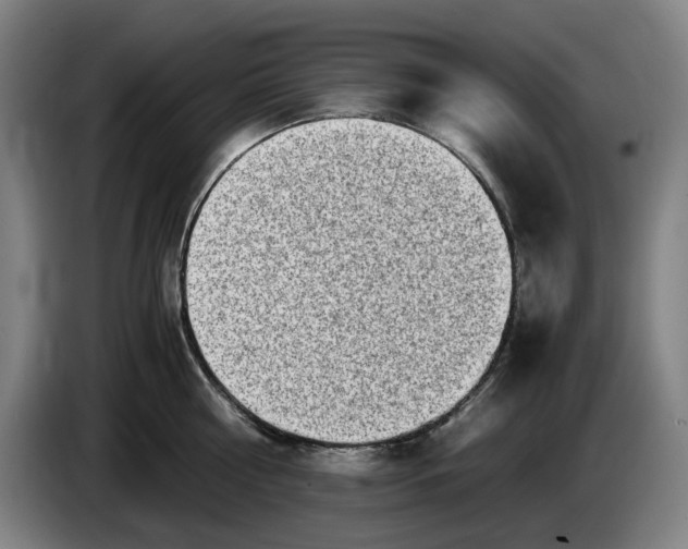 X0000085790810200703301450