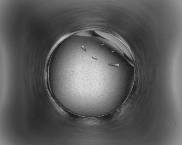 X0000085790811200703301450