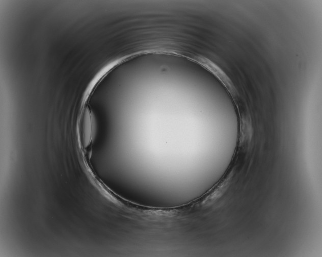 X0000085790812200703301450