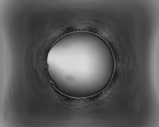 X0000085790817200703301449