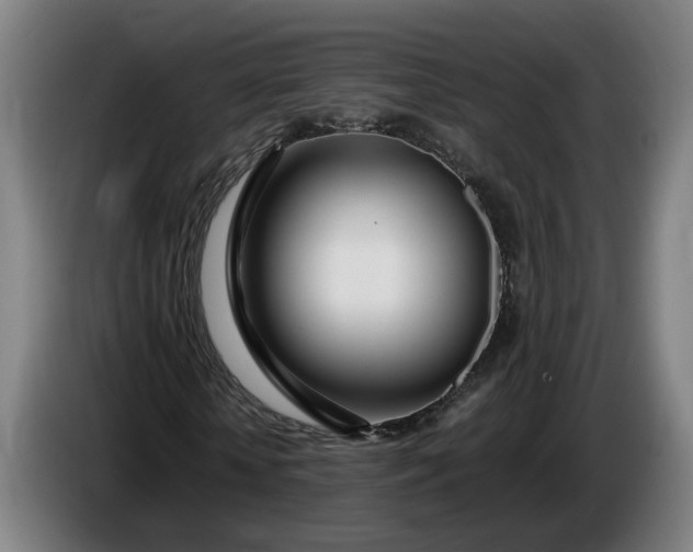 X0000085790818200703301449