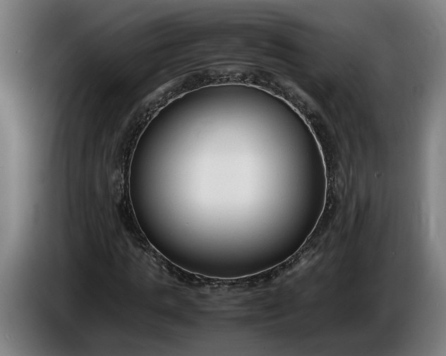 X0000085790821200703301449