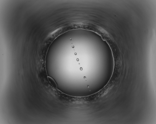 X0000085790822200703301449