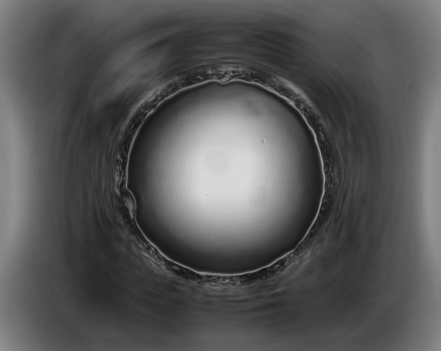 X0000085790823200703301449