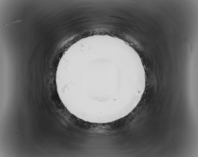 X0000085790824200703301449