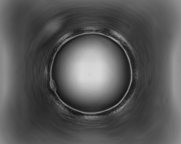 X0000085790825200703301449