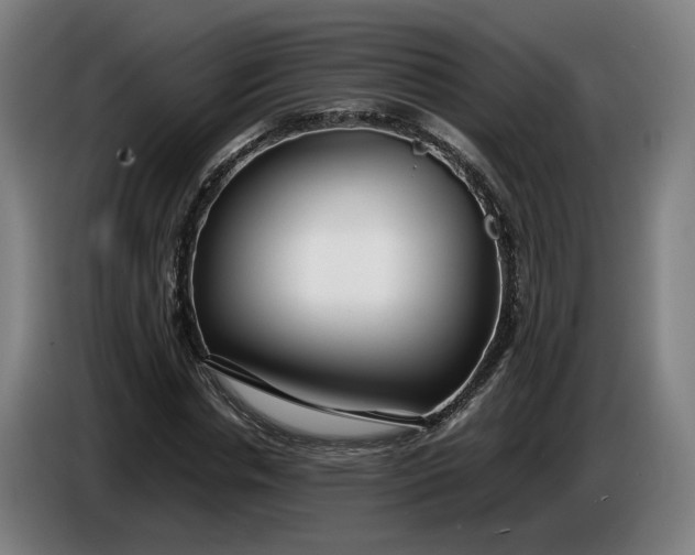 X0000085790826200703301449