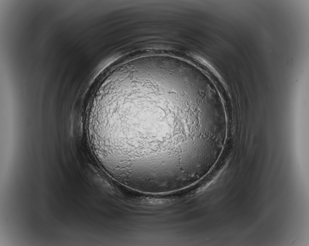 X0000085790829200703301449