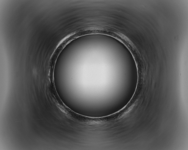 X0000085790830200703301449