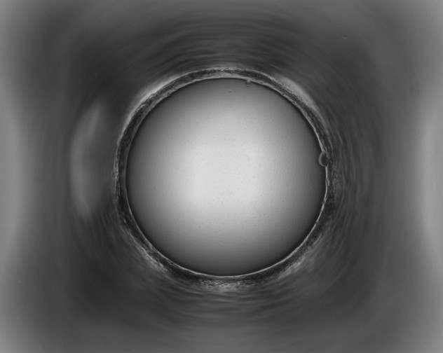 X0000085790831200703301449