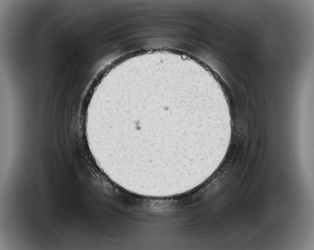 X0000085790832200703301449