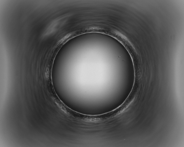 X0000085790833200703301449