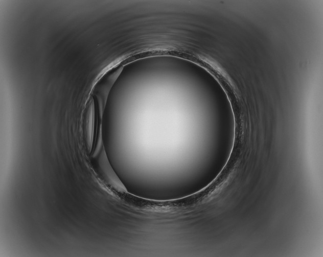 X0000085790834200703301449
