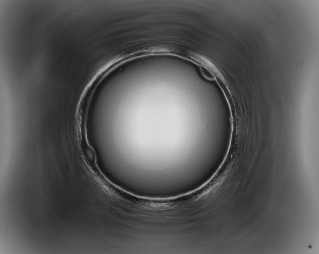 X0000085790835200703301449