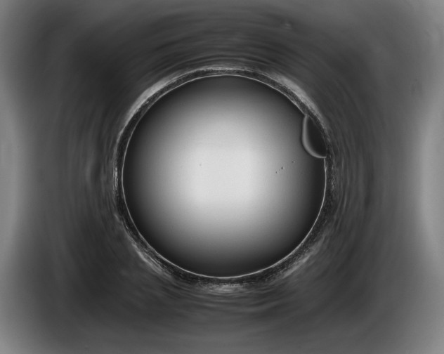 X0000085790837200703301449