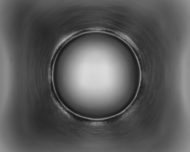 X0000085790839200703301449