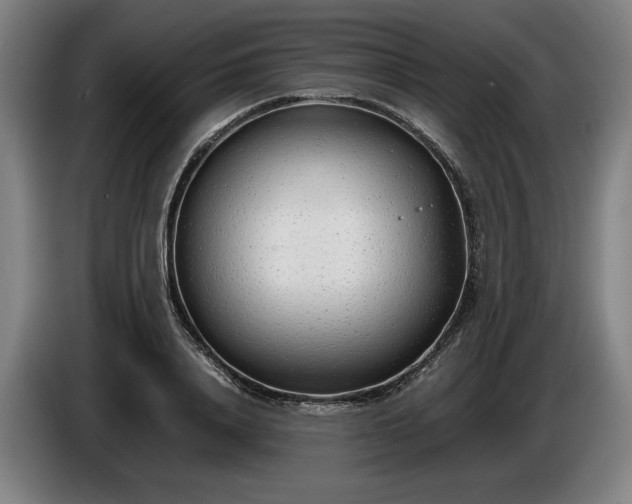 X0000085790840200703301449