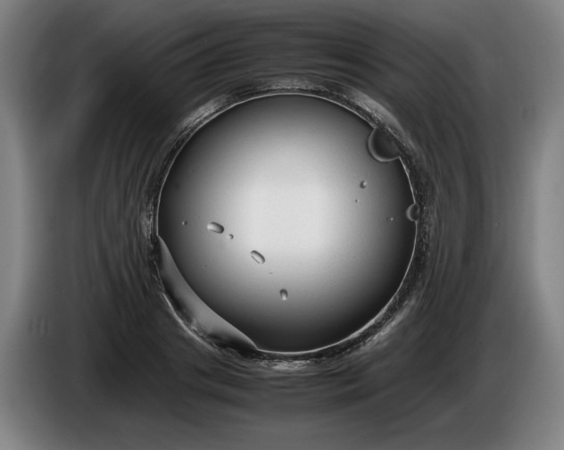 X0000085790841200703301449