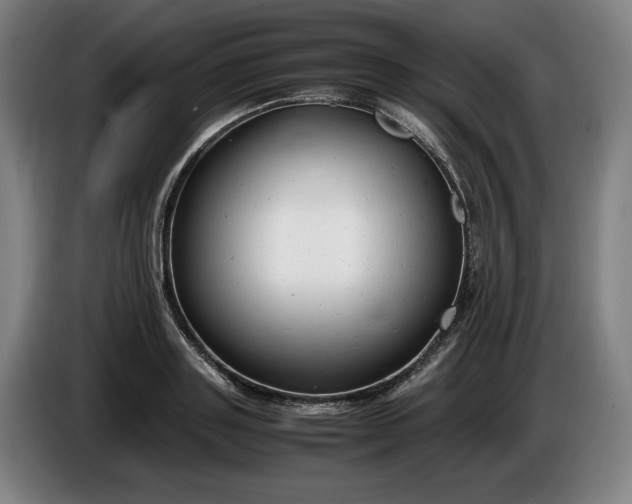 X0000085790843200703301449