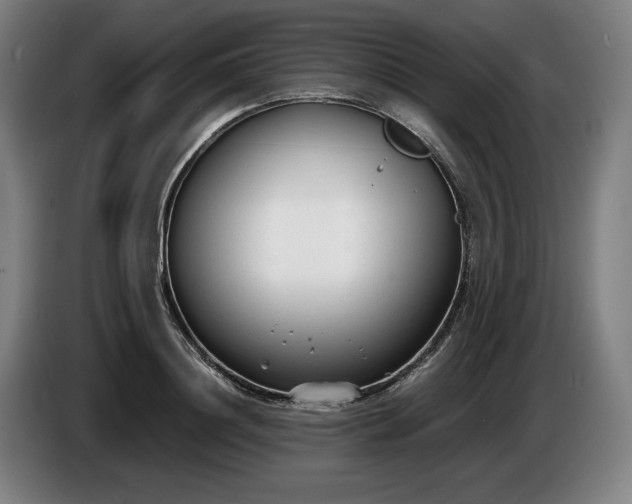 X0000085790844200703301449