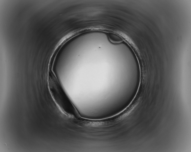X0000085790845200703301449