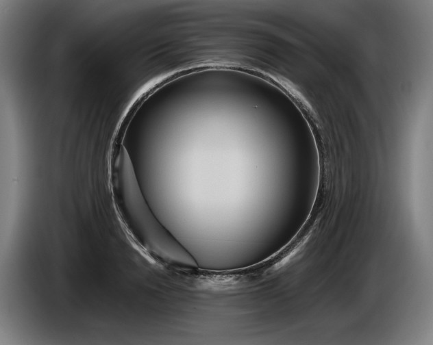 X0000085790846200703301449