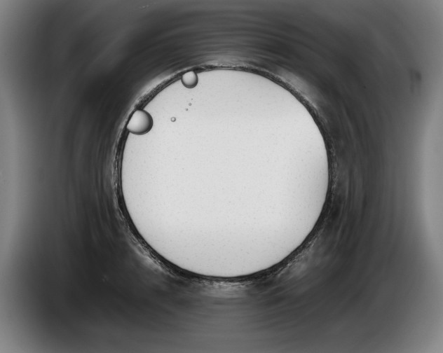 X0000085790848200703301449