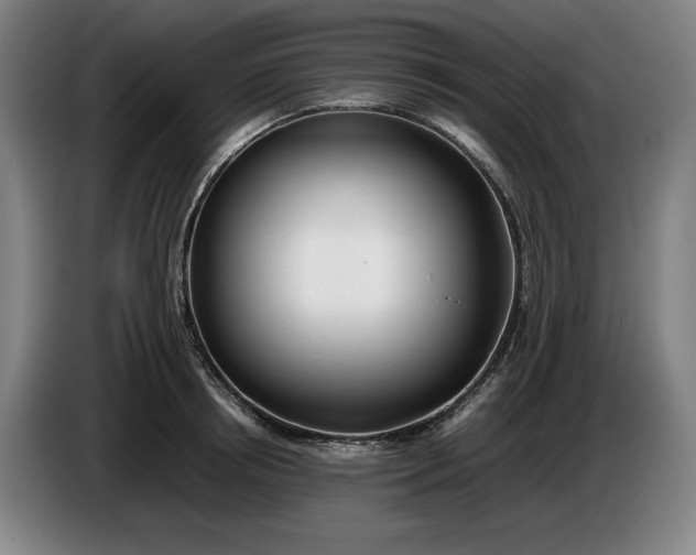 X0000085790850200703301449