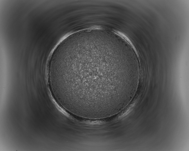 X0000085790851200703301449
