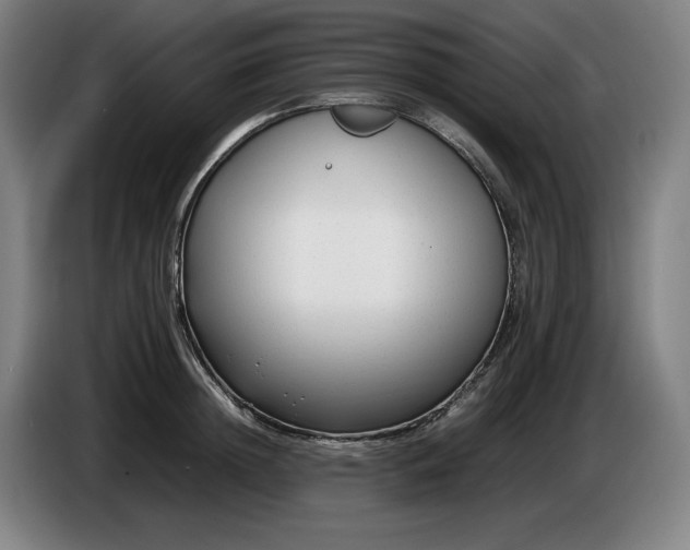 X0000085790852200703301449