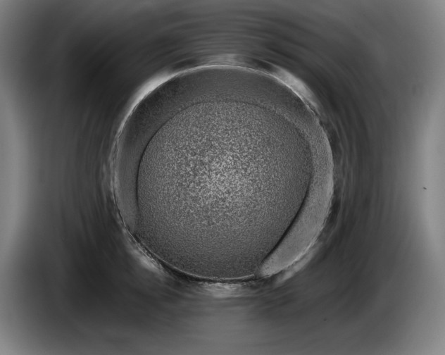 X0000085790854200703301450