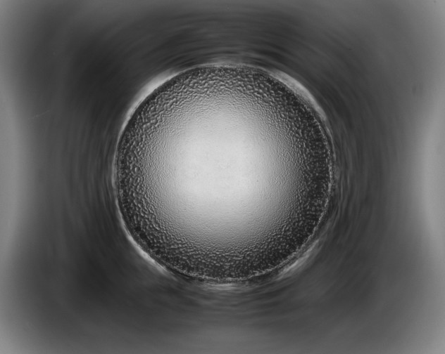 X0000085790855200703301450
