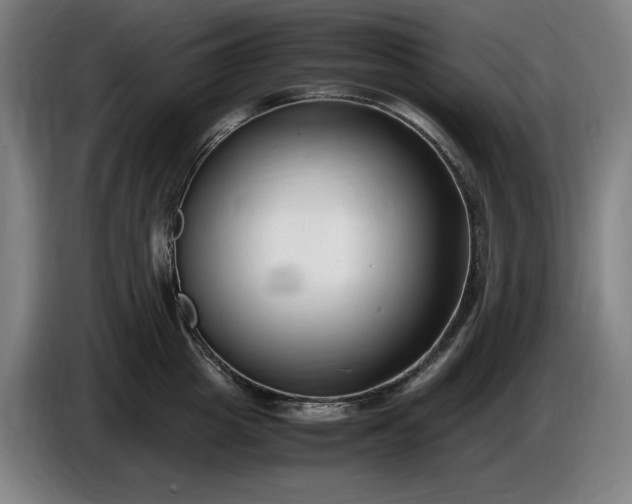 X0000085790857200703301450