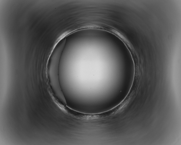 X0000085790858200703301450