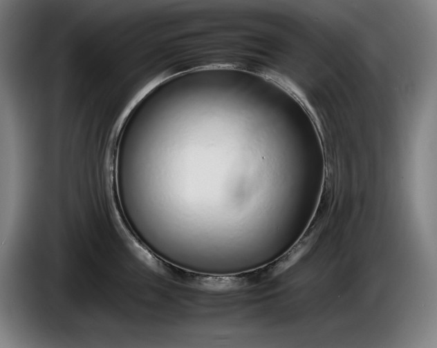 X0000085790859200703301450