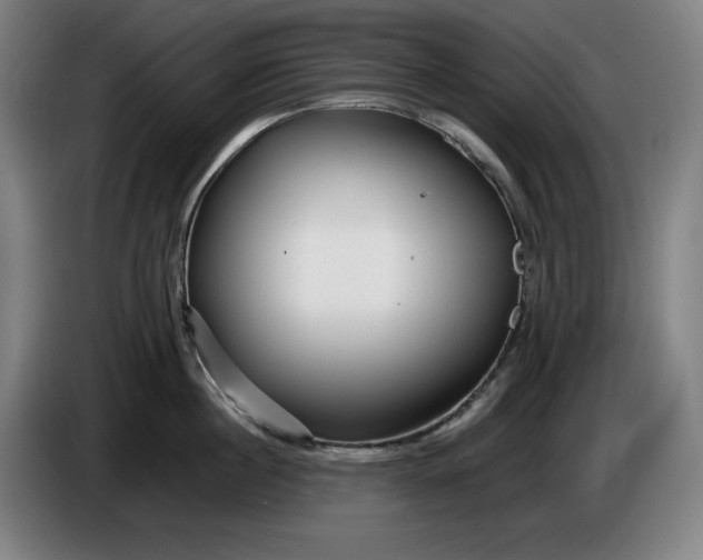 X0000085790860200703301450