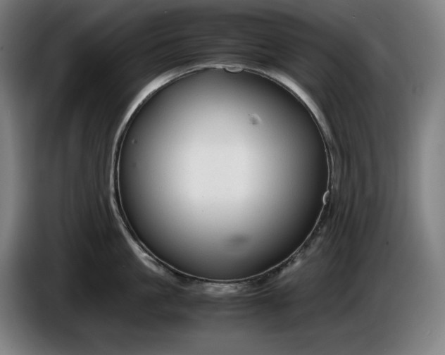 X0000085790861200703301450