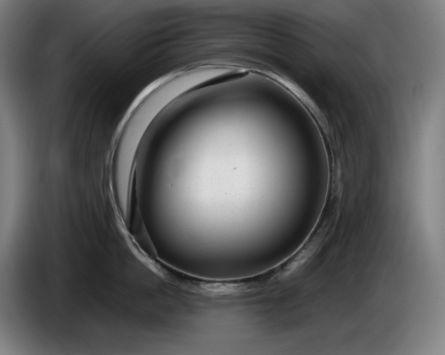 X0000085790862200703301450