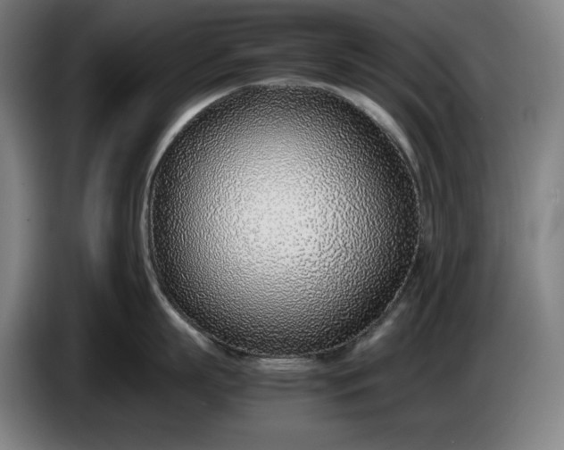 X0000085790863200703301450