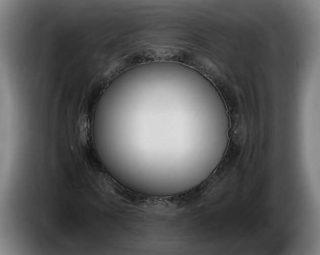 X0000085790866200703301449