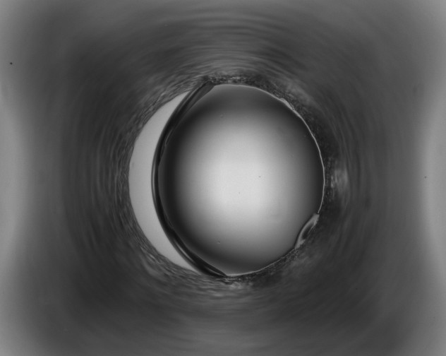 X0000085790868200703301449