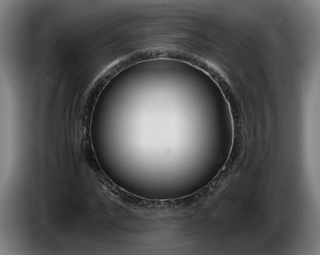 X0000085790872200703301449