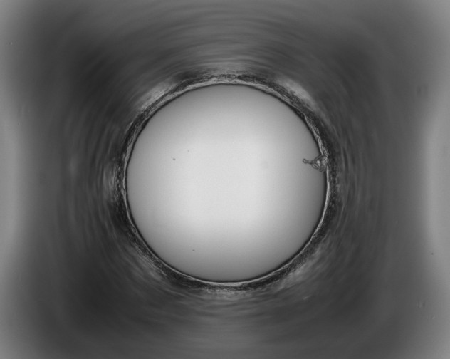 X0000085790873200703301449