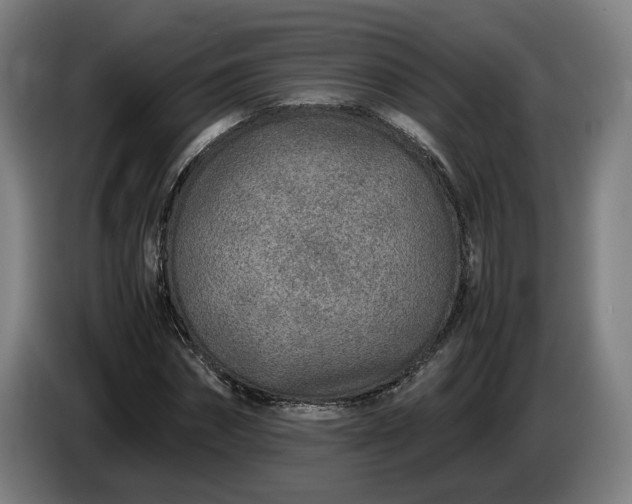 X0000085790874200703301449
