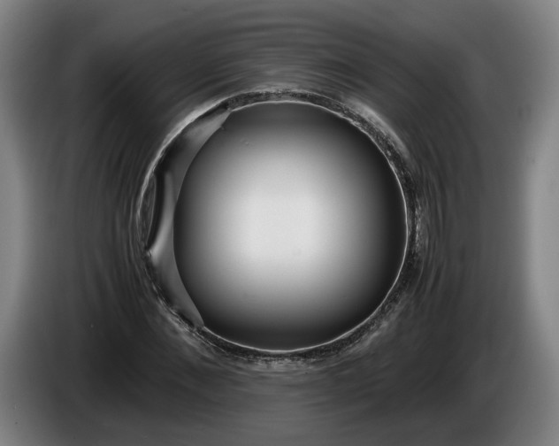X0000085790876200703301449