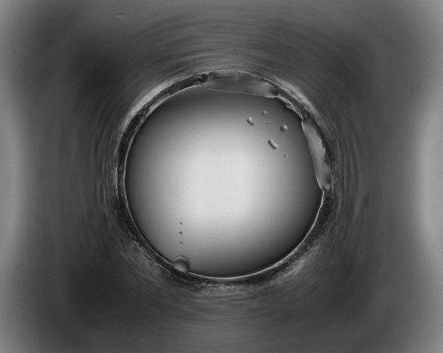 X0000085790877200703301449